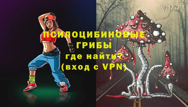 прущий лед Белокуриха