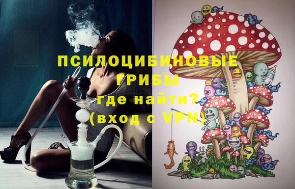 прущий лед Белокуриха
